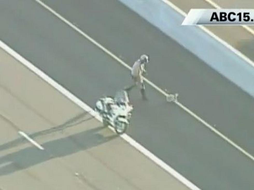 Yorkshire Puppy Leads Police on a Highway Chase