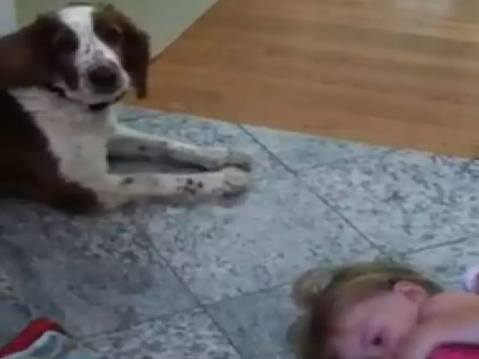 Dog Howls at Little Girl to Stop Her Crying &#8211; She Complies [VIDEO]