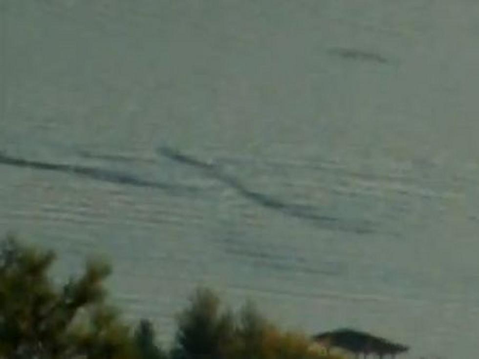 Has Ogopogo, the Canadian Loch Ness Monster, Been Spotted? [VIDEO]