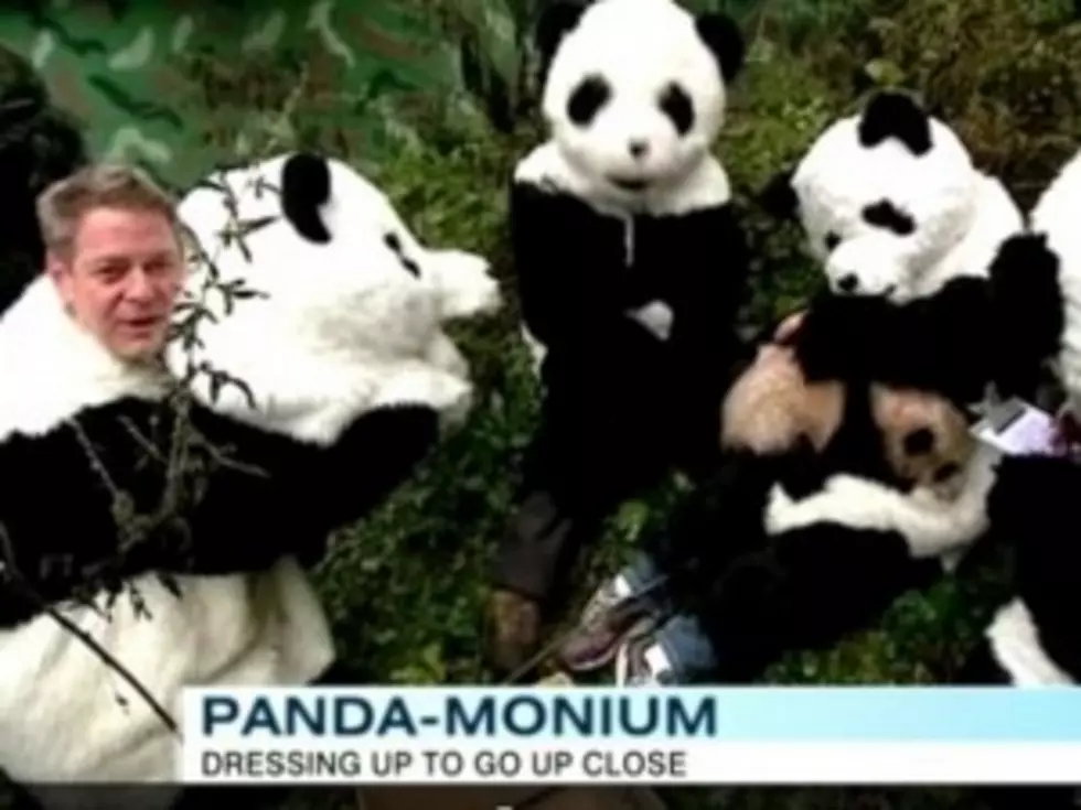 Researchers Wearing Panda Costumes While Interacting With Baby Pandas Will Terrify You [VIDEO]