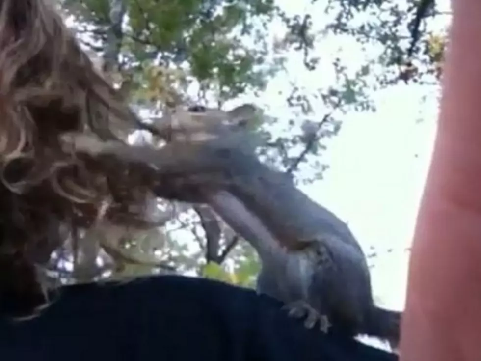 Woman Learns Why Squirrels Don’t Make the Best Hair Stylists or Pets [VIDEO]