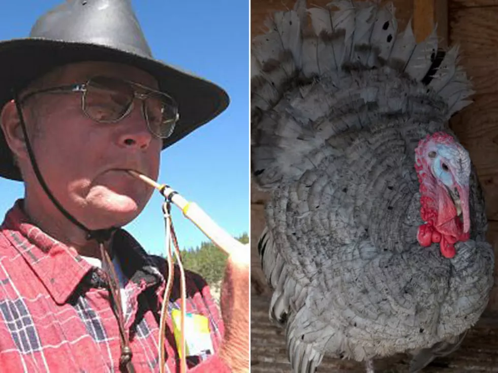 10 Awesome Turkey Calling Videos