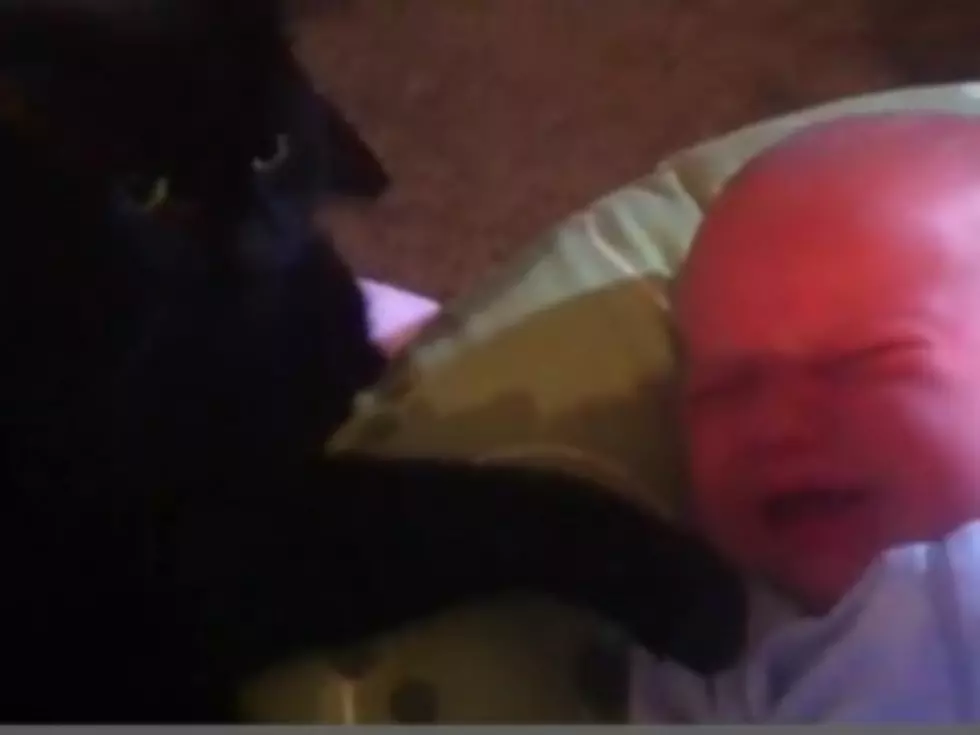 Therapeutic Cat Soothes Crying Baby With Magic Paw [VIDEO]