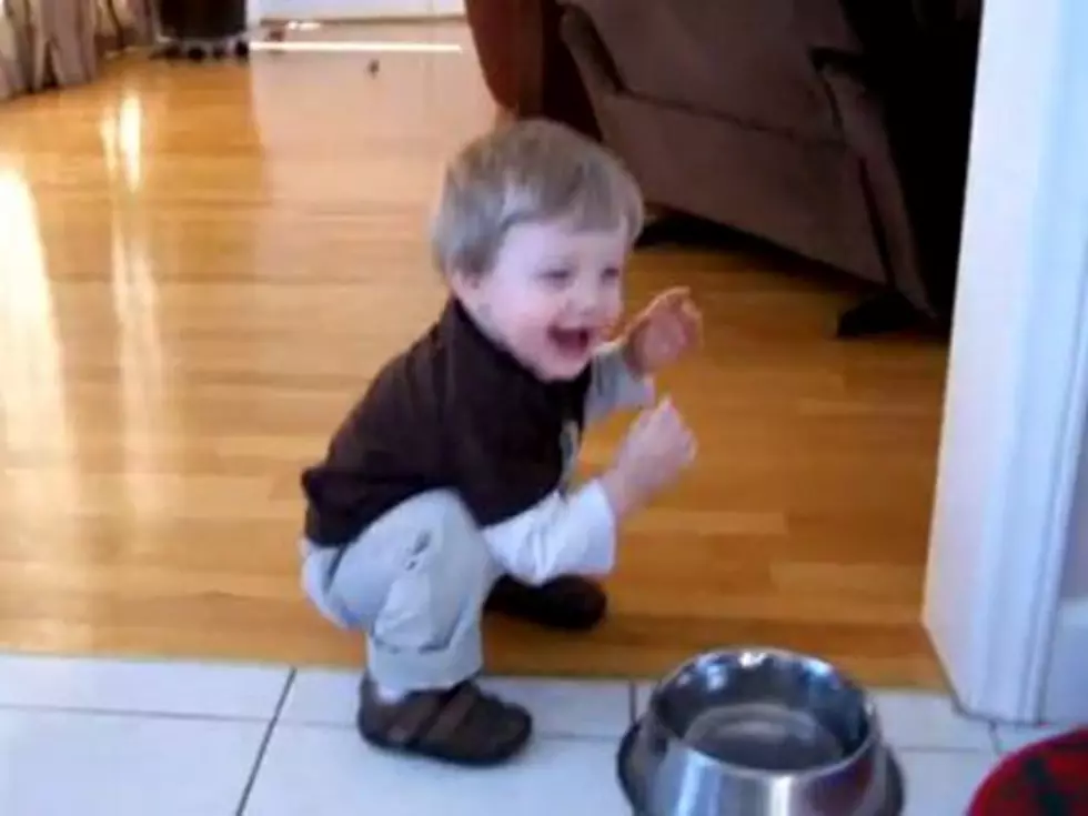 Strange Toddler Drinks Out of Dog’s Water Bowl [VIDEO]