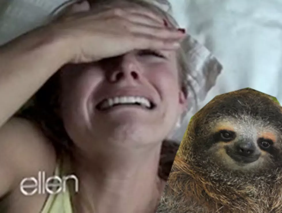 Kristen Bell Has a Meltdown Over Sloths on 'Ellen' [VIDEO]