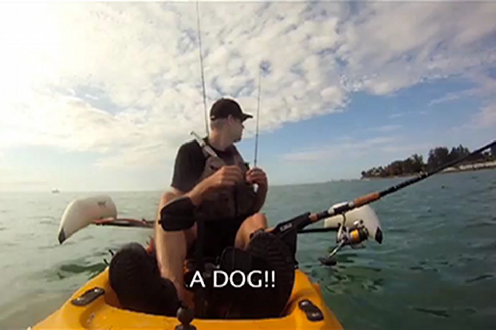 Watch a Brave Kayaker Rescue an Injured Dog Swimming in the Gulf of Mexico [VIDEO]