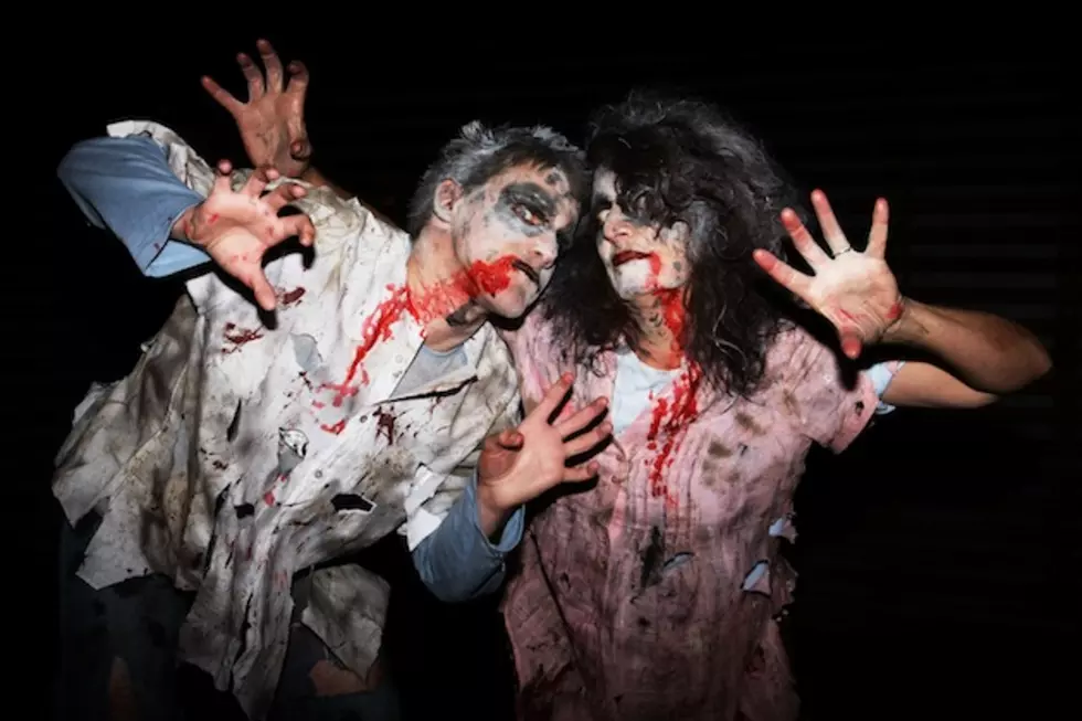 Zombies Sue Tennessee Valley Authority for the Right to Be Heard