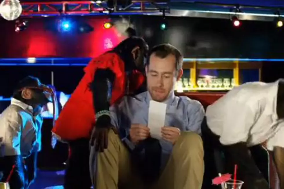 The Monkeys Coworkers Are Back in Careerbuilder&#8217;s Super Bowl 2012 Commercial [VIDEO]