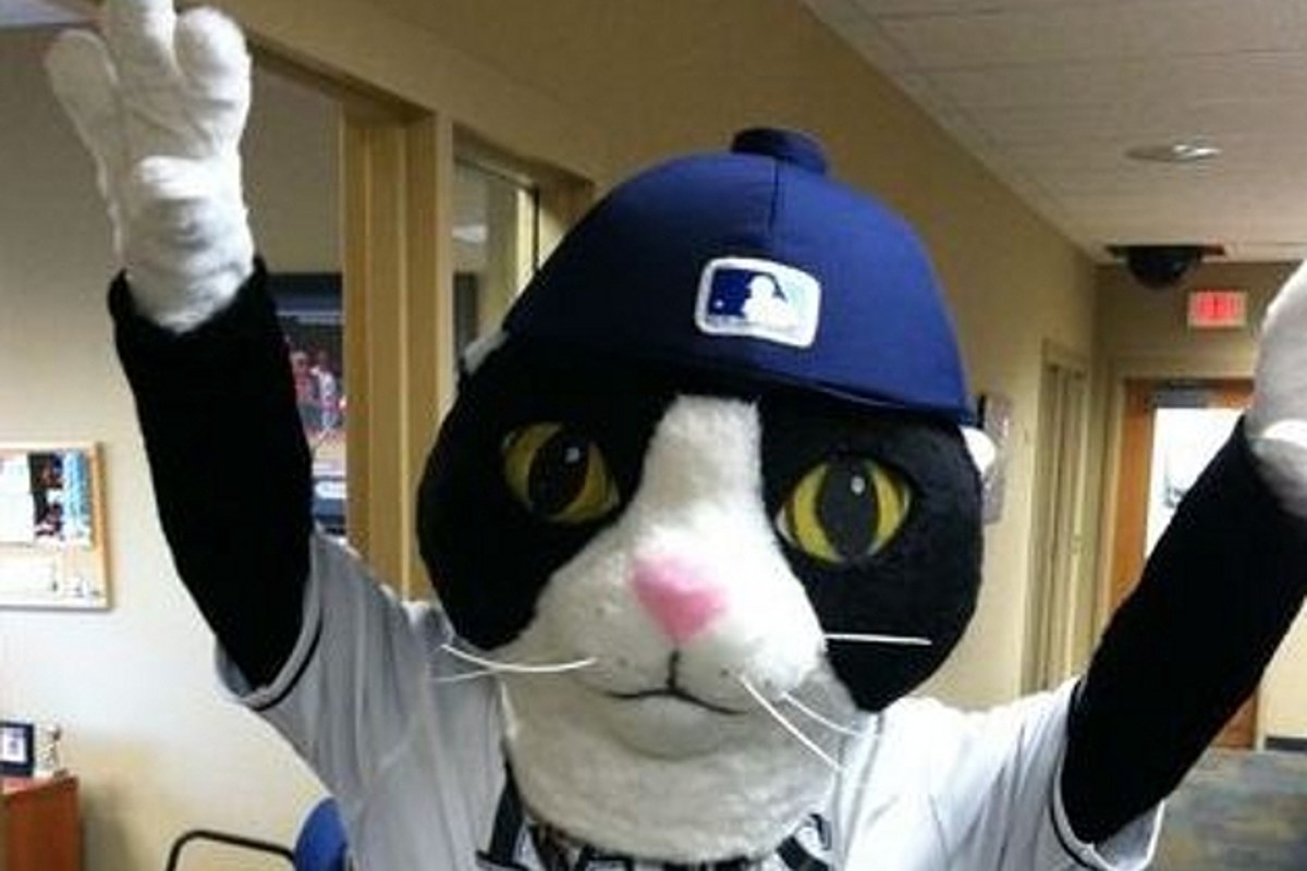 Baseball is fun, but DJ Kitty is better 😻#RaysUp #DJKitty @TAMPA