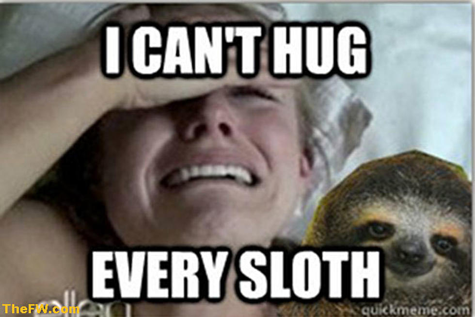 Is Kristen Bell&#8217;s Sloth Meltdown Meme-Worthy? [IMAGES]