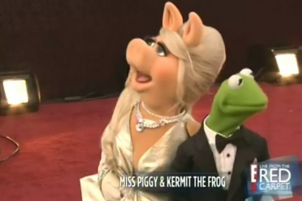 The Muppets Take 2012 Oscars Red Carpet in Style
