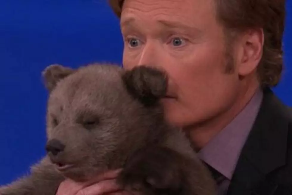 Watch Conan O’Brien Cuddle With an Adorable Real Life Teddy Bear