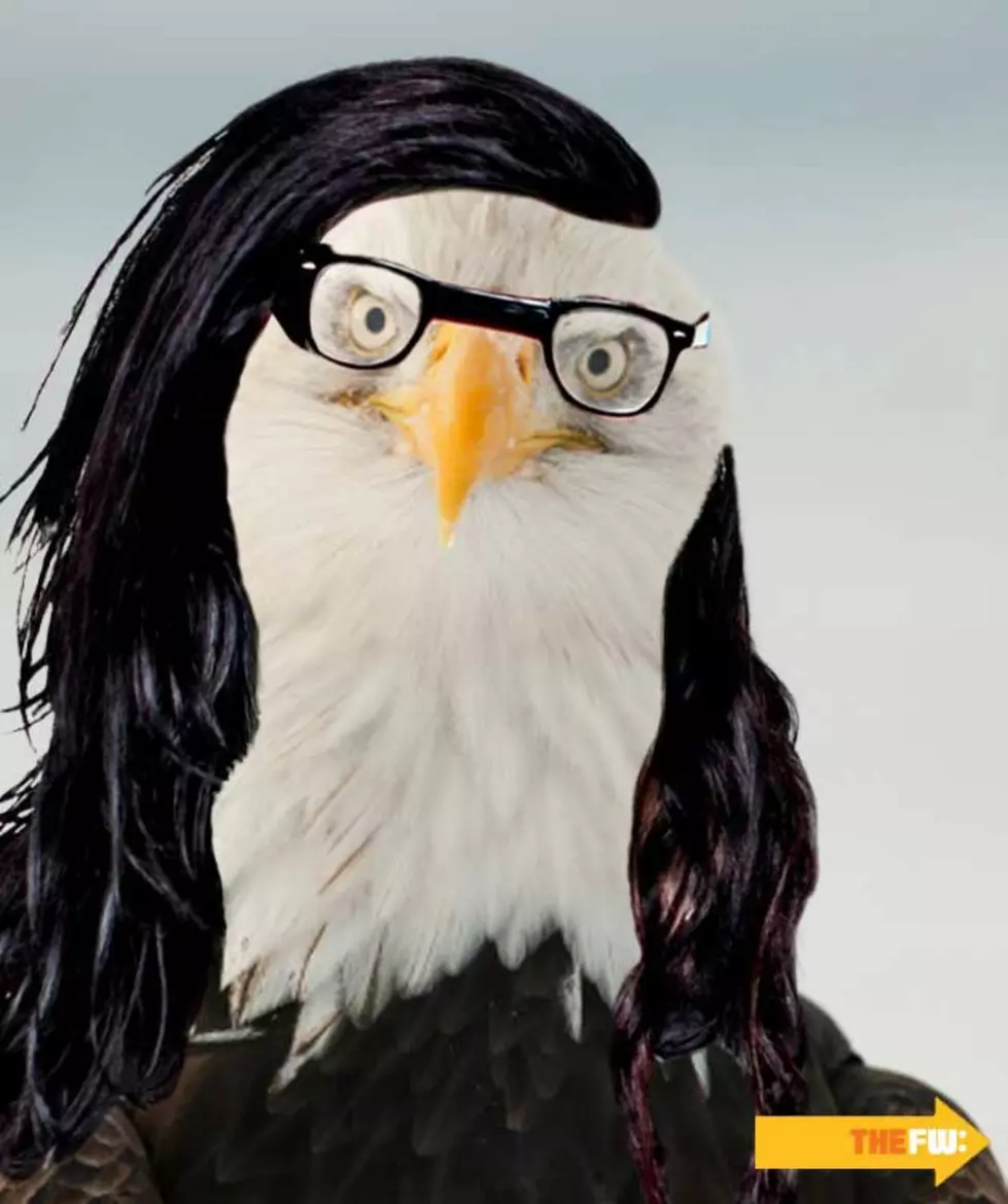 Animals With Skrillex Hair – Eagle