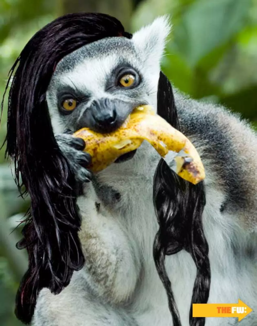 Animals With Skrillex Hair – Lemur