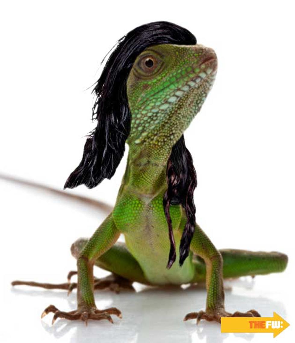 Animals With Skrillex Hair &#8211; Lizard