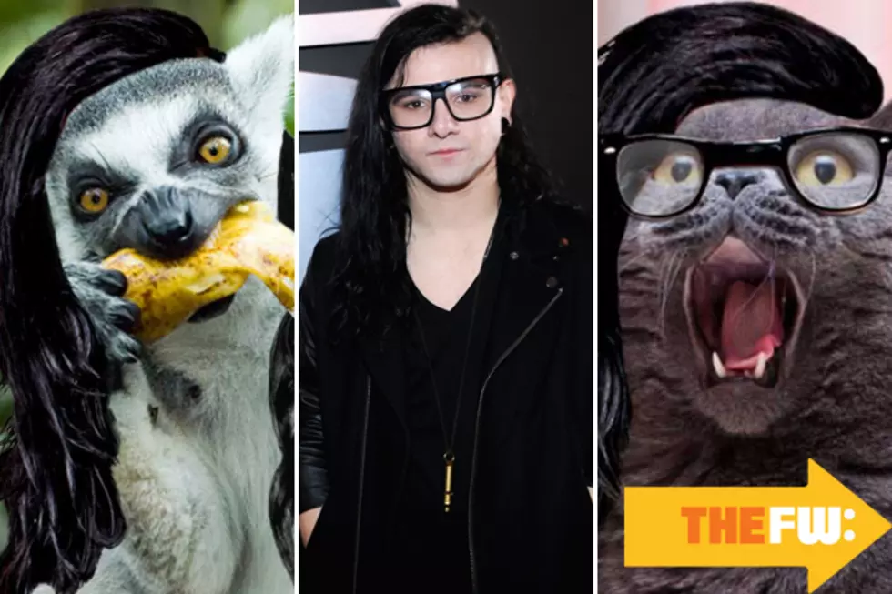 14 Animals With Skrillex Hair