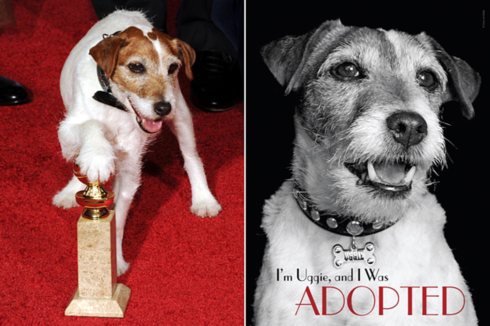 ‘The Artist’ Wonder Dog Uggie Is Writing His Own Memoir?