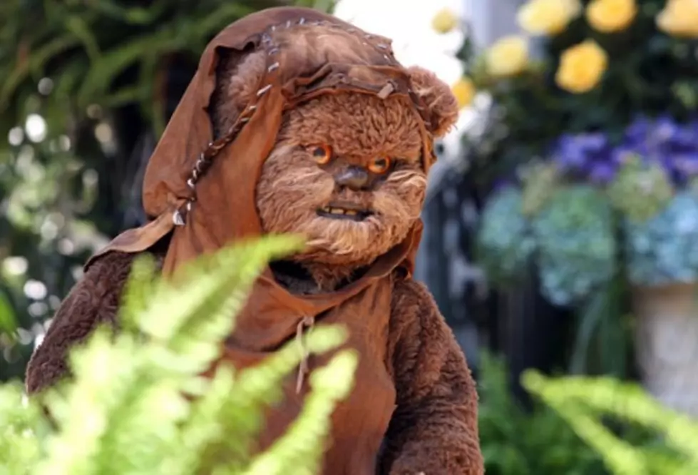 Former &#8216;Star Wars&#8217; Ewok In Trouble With the Law