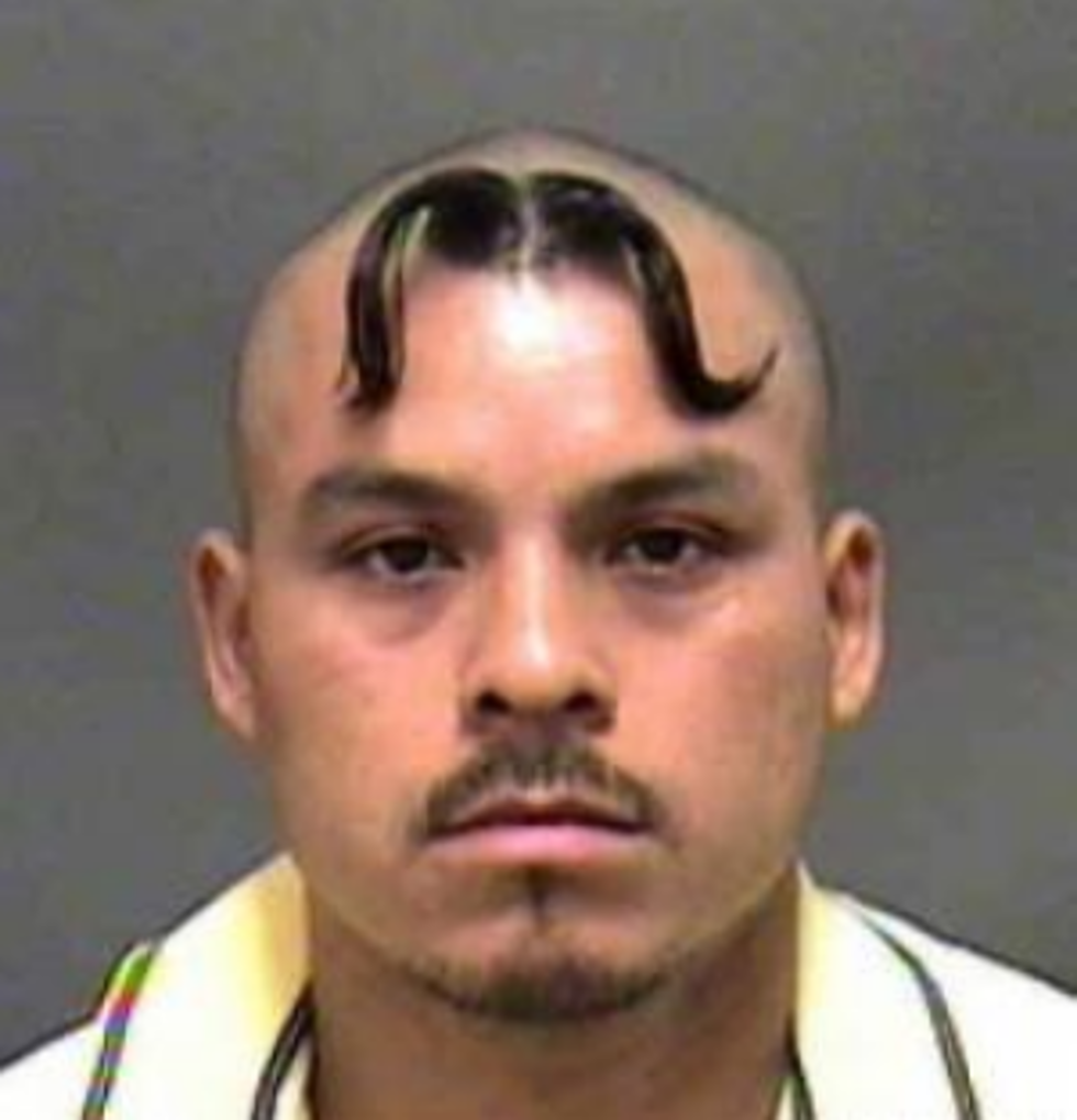 Double Mustache &#8211; Funniest Mug Shots