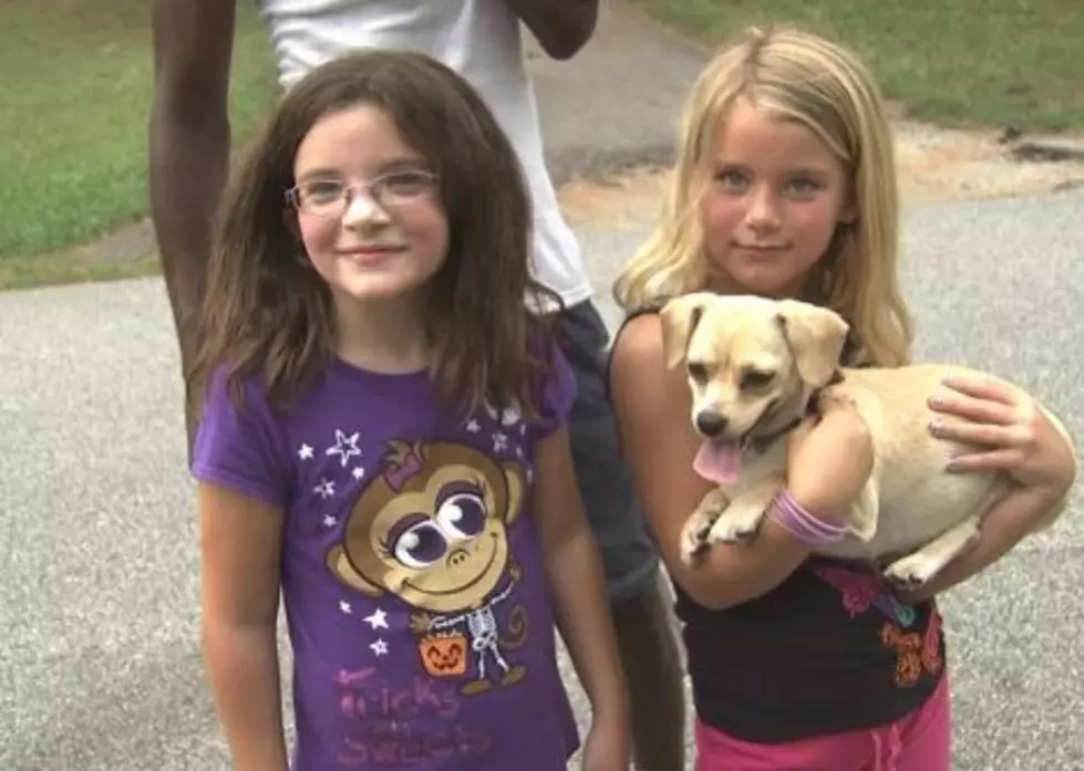 Neighborhood Chihuahua Sniffs Out Lost Kids