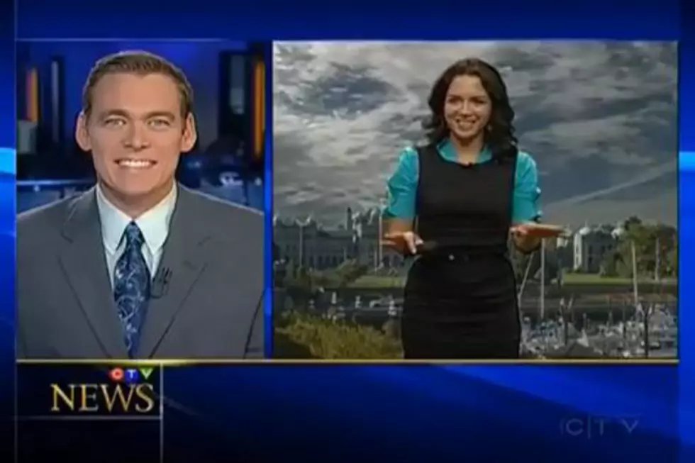News Anchor Doesn’t Know What “Canoodle” Means, Awkward Hilarity Ensues