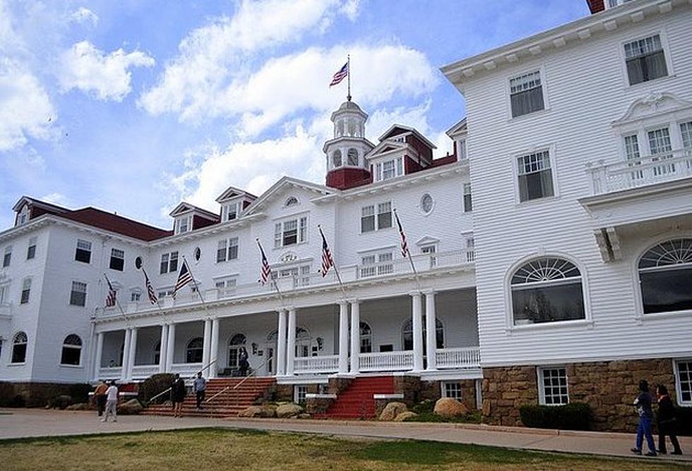 Bear Visits The Stanley Hotel