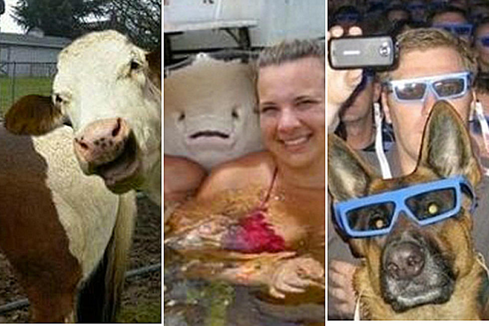 25 Hilarious Animal ‘Photobombs’