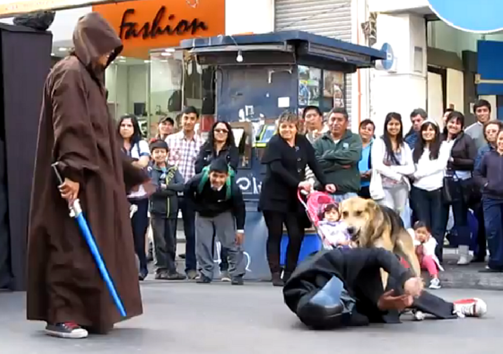 Vader Taken Out By Own Lightsaber, Dog