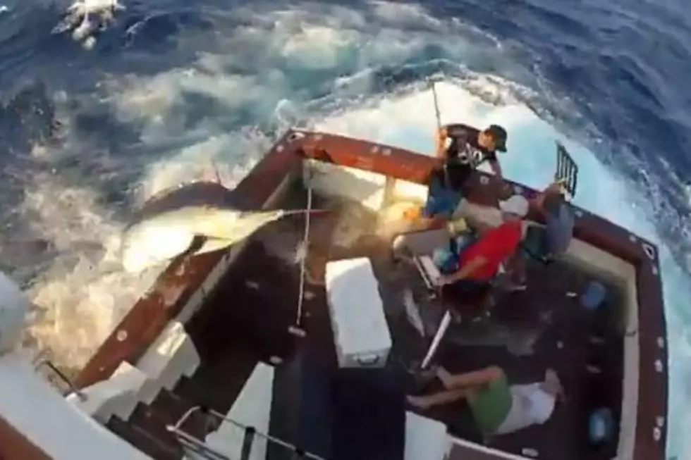 Multiple Cameras Watch as 600-Pound Marlin Wreaks Havoc on Fishing Boat