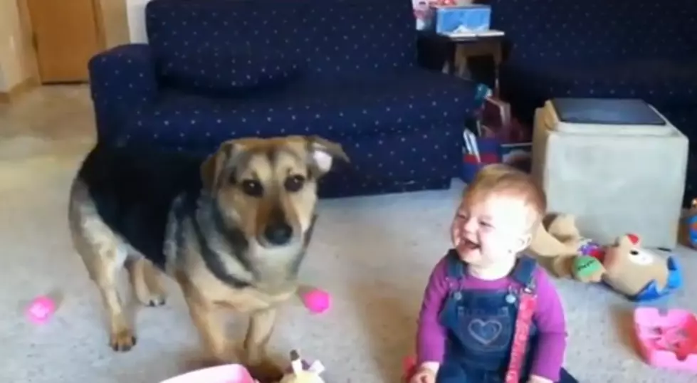 Babies Laughing at Dogs Will Brighten Your Day