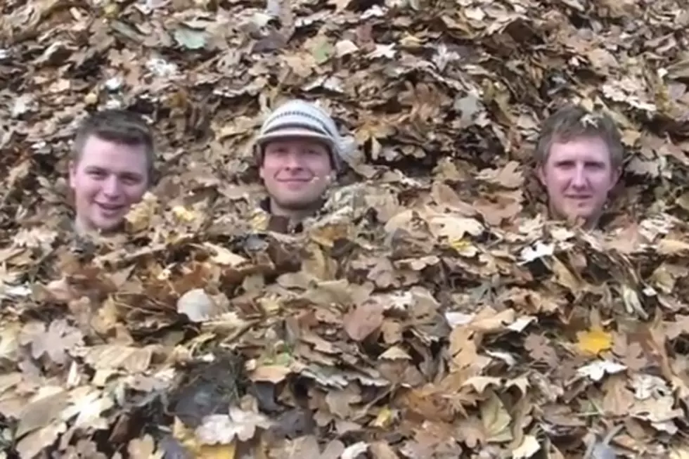‘Fall’ Frenzy: Teens Dive From Roof into a Giant Pile of Leaves