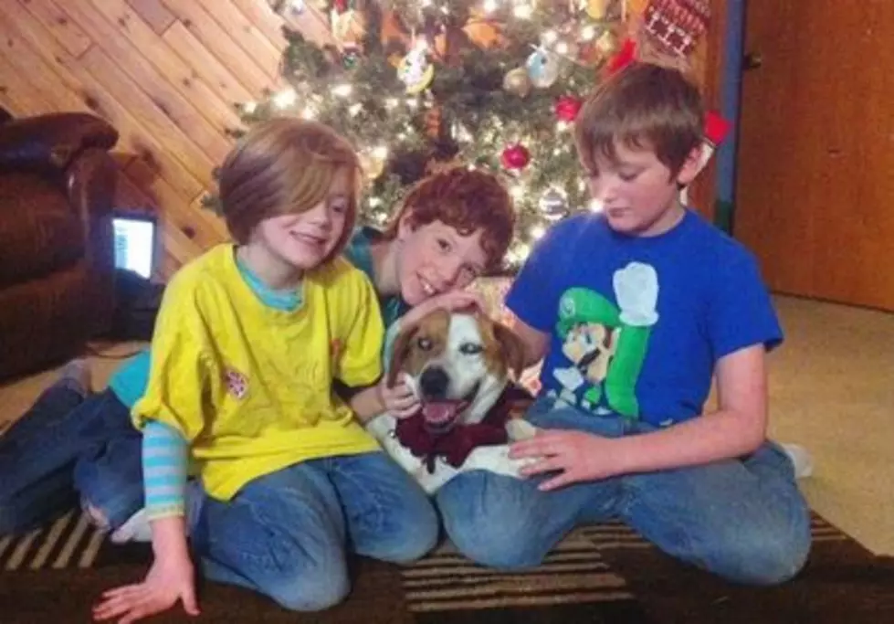 Lost, Blind Dog Finds Way Back To Family In Time For Christmas