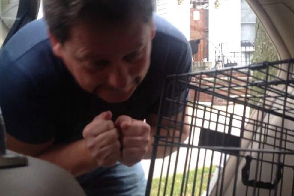 Dad Gets Surprise Puppy, Reacts Adorably
