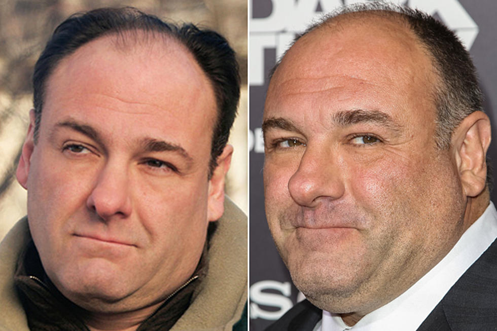 See the Cast of 'The Sopranos' Then and Now