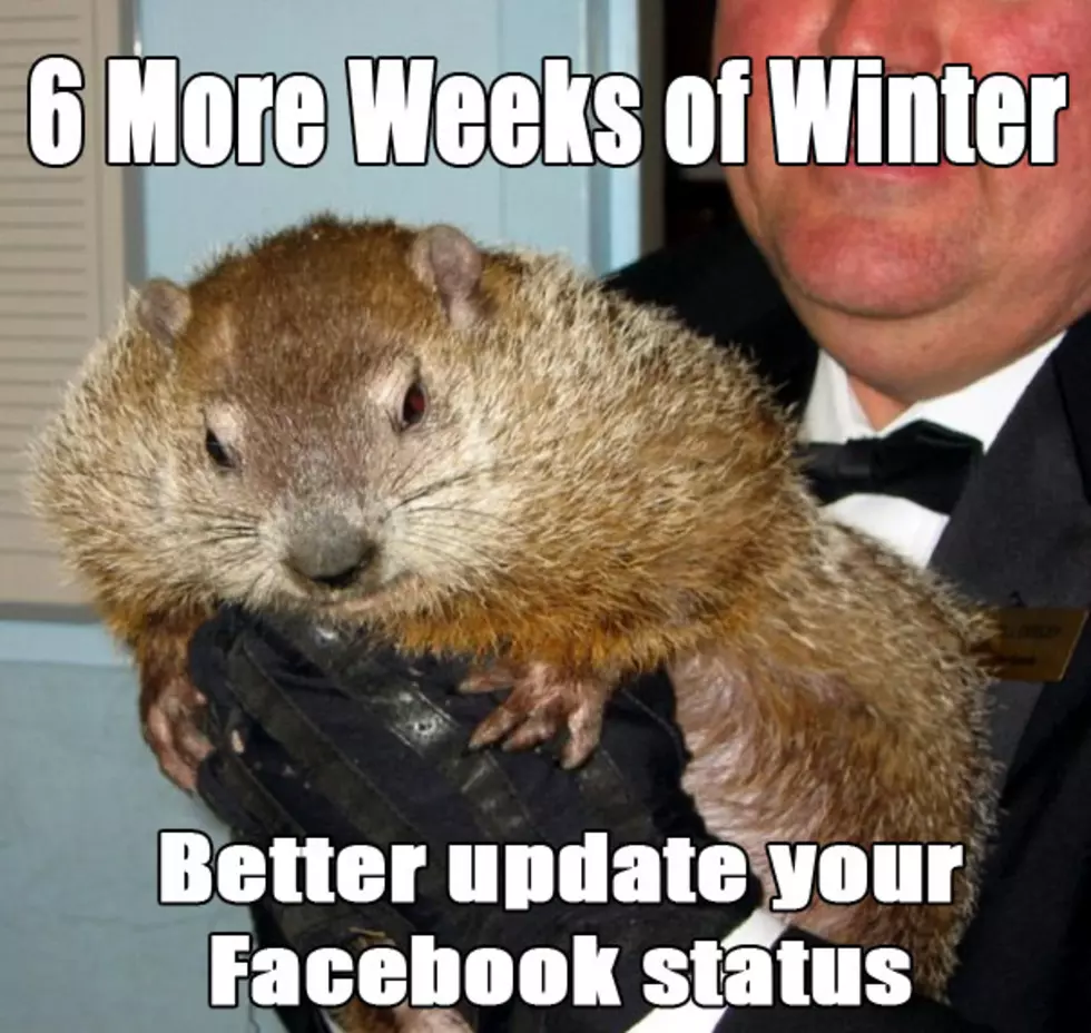 Groundhog Day Memes