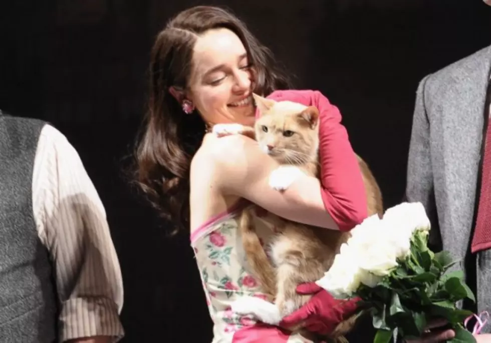 &#8216;Unruly&#8217; Diva Cat Fired From Broadway Show