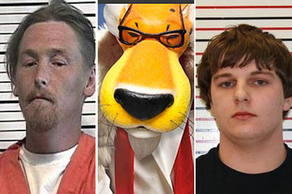 The Dumbest Criminals of 2013 (So Far)