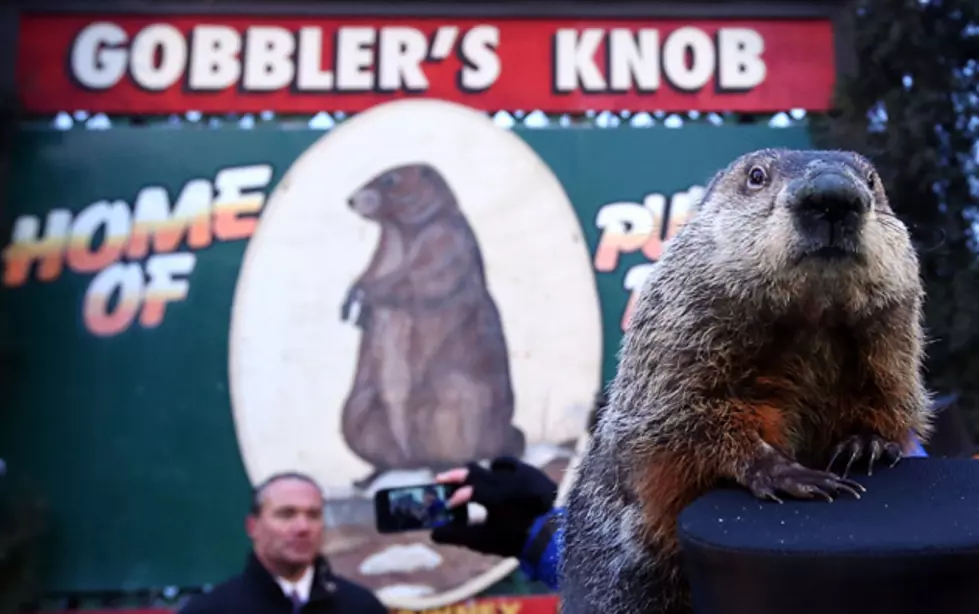 Punxsutawney Phil