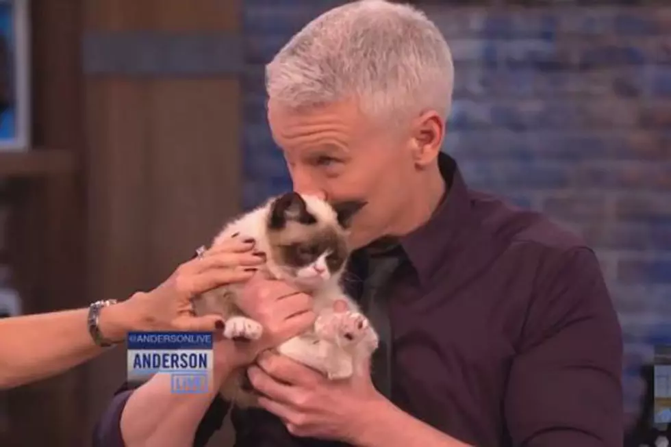 Anderson Cooper Kissed Grumpy Cat on the Head