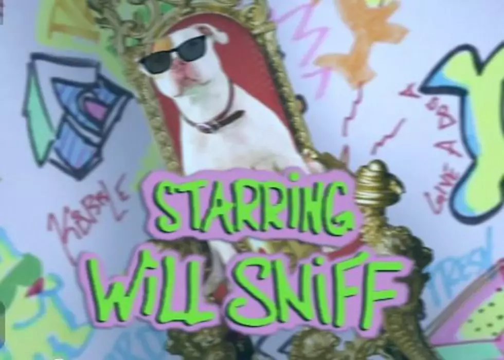 Here’s the Dog Version of ‘The Fresh Prince of Bel-Air’ You Didn’t Know You Were Asking For