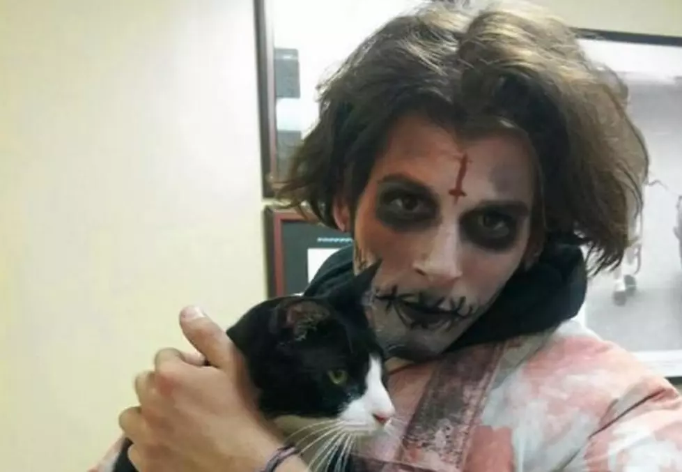 Zombie Rescues Missing Cat In Your New Favorite Story