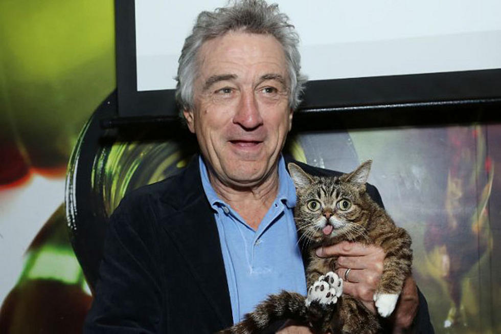 Lil Bub Meeting Robert De Niro Is the Best Thing You’ll See All Day