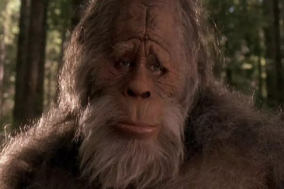10 Things You Didn’t Know About Bigfoot