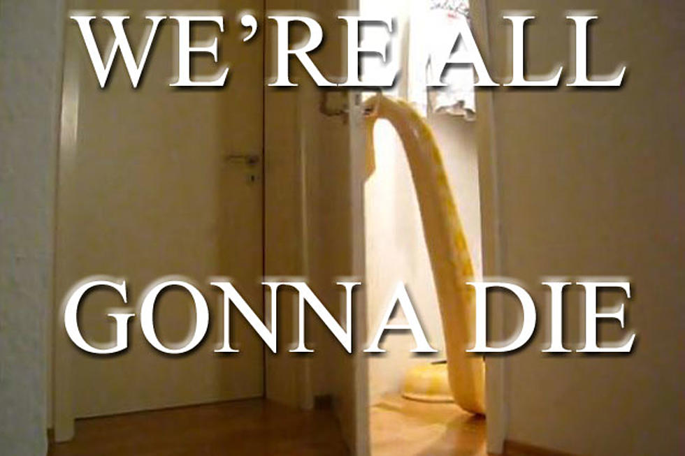This Is the Way the World Ends — With a Snake Opening a Door