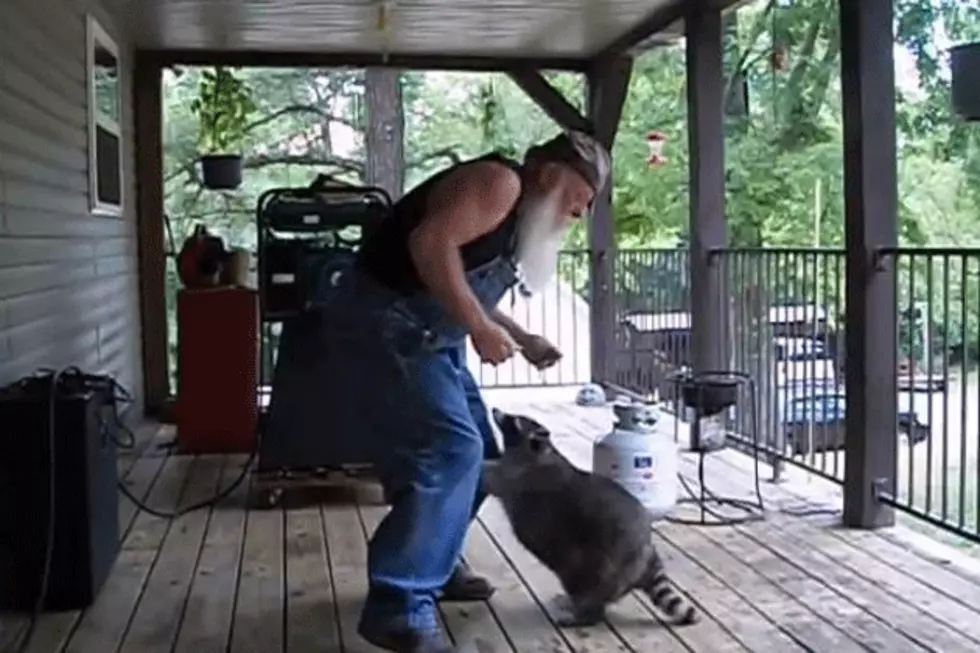 Here’s a Hillbilly and a Raccoon Dancing to Aretha Franklin