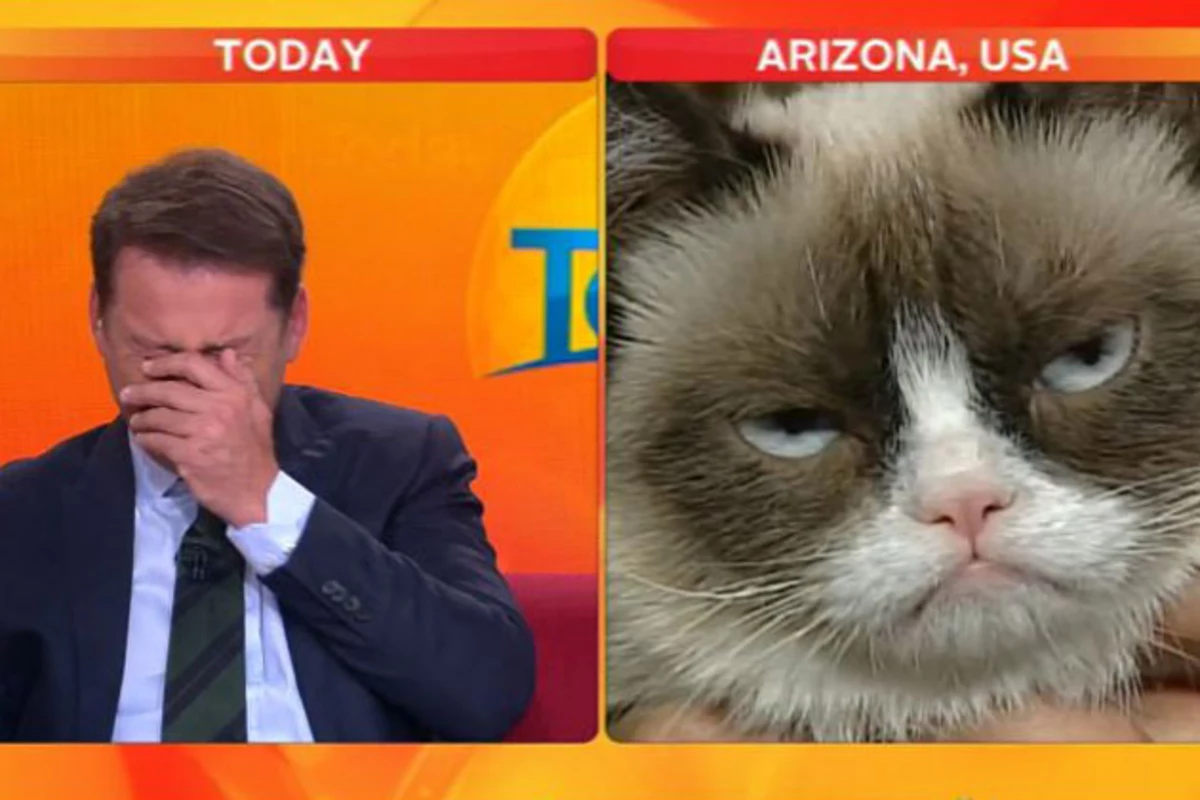 Reporter Can't Handle Grumpy Cat
