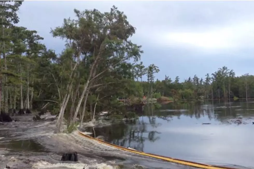Massive Sinkhole Swallows Buttload of Trees in Seconds