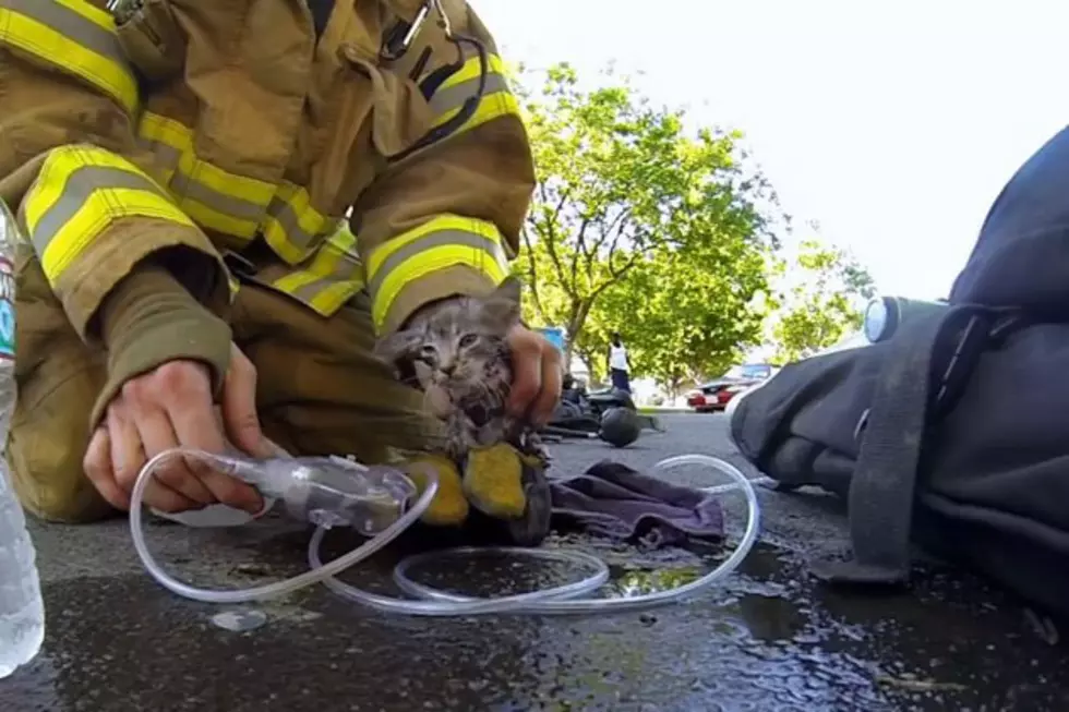 GoPro Video of Fireman Rescuing Kitten WILL Make You Cry