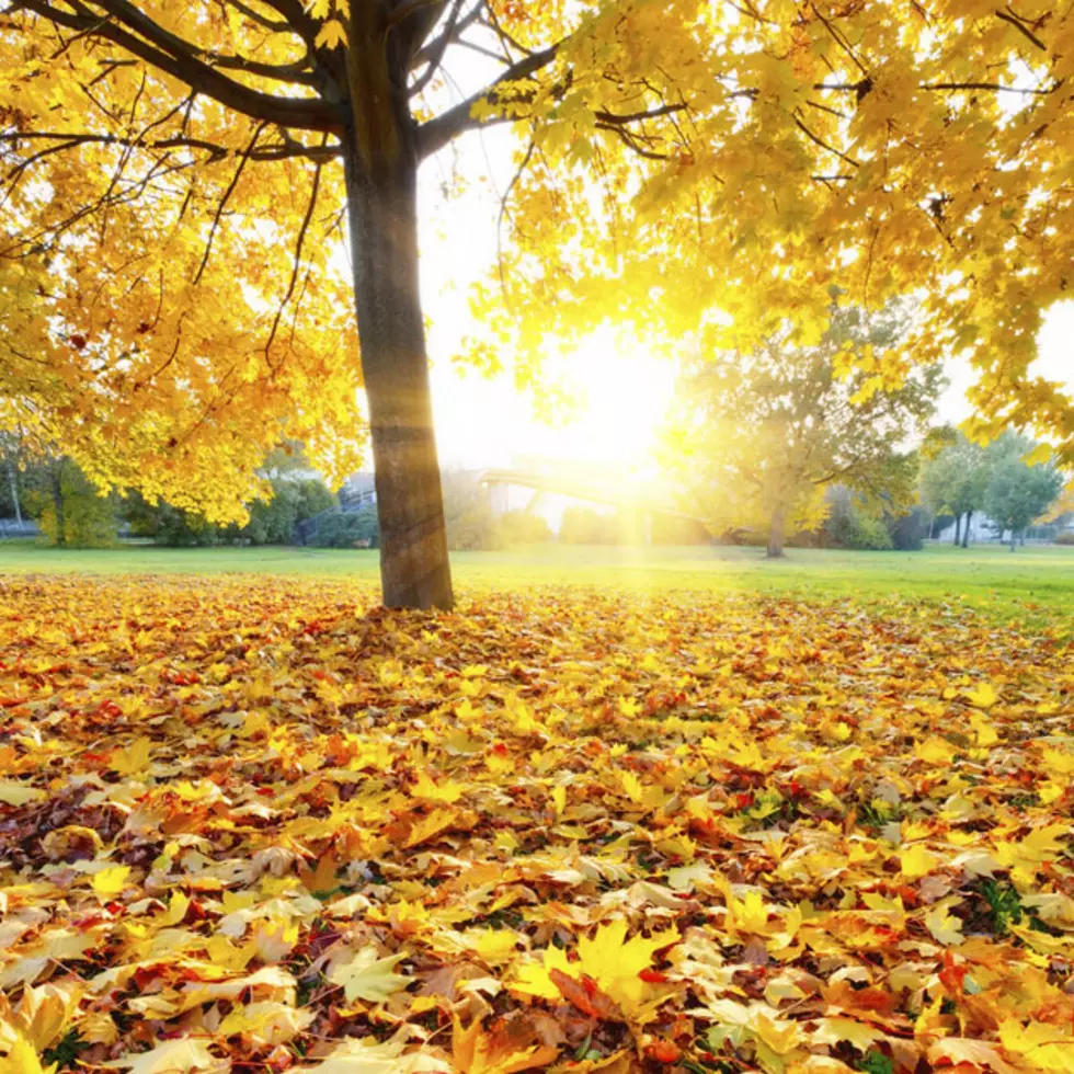 Fall Foliage Season Could Be Shortened This Year
