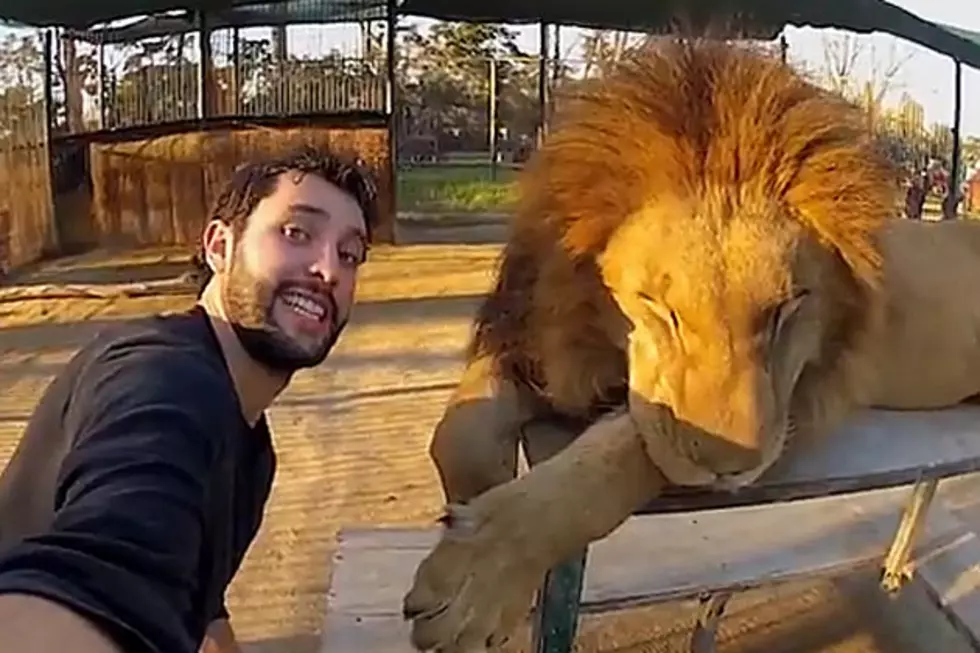 This Guy Takes the Selfie to End All Selfies